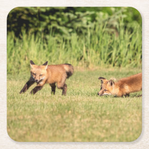 Red Fox Kits Playing Rechteckiger Pappuntersetzer