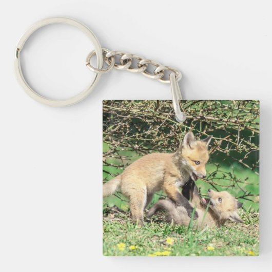 Red Fox Kits Playing Schlüsselanhänger (Vorderseite)
