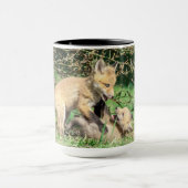 Red Fox Kits Playing Tasse (Zentrum)