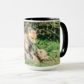 Red Fox Kits Playing Tasse (VorderseiteRechts)