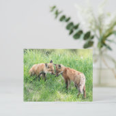 Red Fox Kits Postkarte (Stehend Vorderseite)