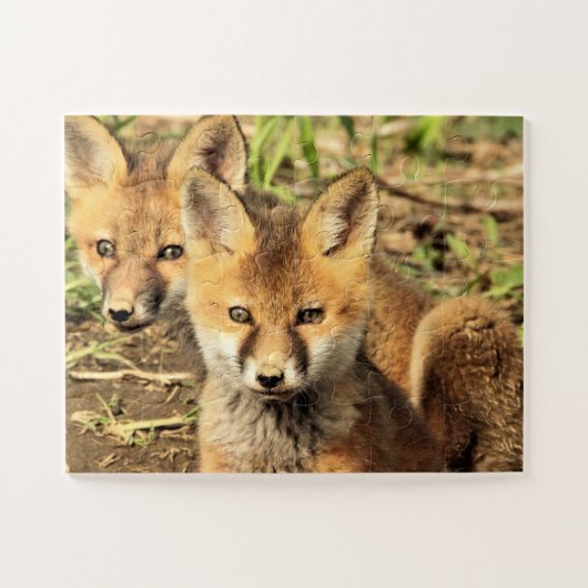 Red Fox Kits Puzzle (Horizontal)