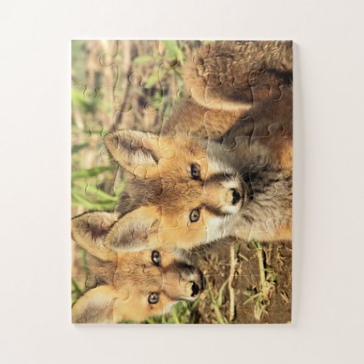 Red Fox Kits Puzzle (Vertikal)