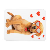 Red Fox Labrador Puppy-Liebe Magnet (Horizontal)