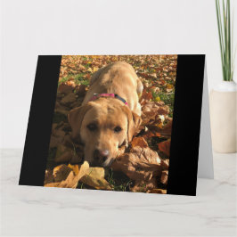 Red Fox Labrador saß im Herbst Grüße. Karte