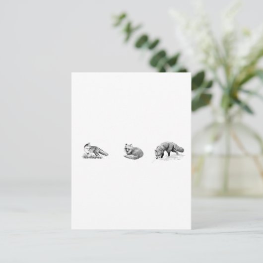 Red Fox Line Art Postkarte (Stehend Vorderseite)