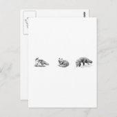 Red Fox Line Art Postkarte (Vorne/Hinten)