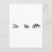 Red Fox Line Art Postkarte (Vorderseite)