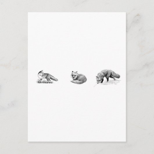 Red Fox Line Art Postkarte (Vorderseite)