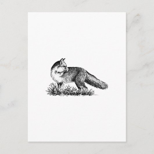 Red Fox (Line Art) Postkarte (Vorderseite)