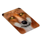 Red Fox Magnet (Rechte Seite)