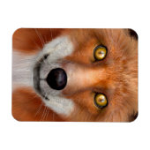 Red Fox Magnet (Horizontal)