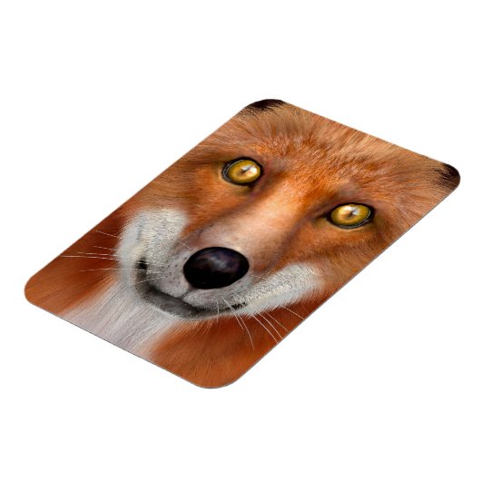 Red Fox Magnet (Linke Seite)
