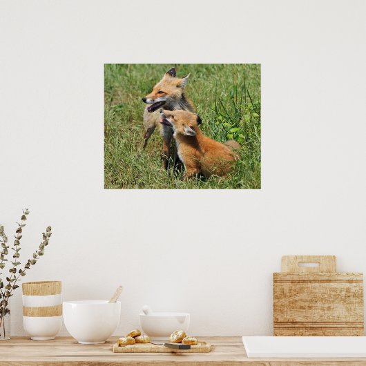 Red Fox Mama und Kit Poster (Küche)
