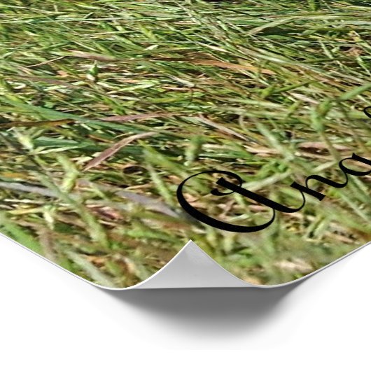 Red Fox Mama und Kit Poster (Ecke)