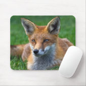 Red Fox Mousemat Mousepad (Mit Mouse)