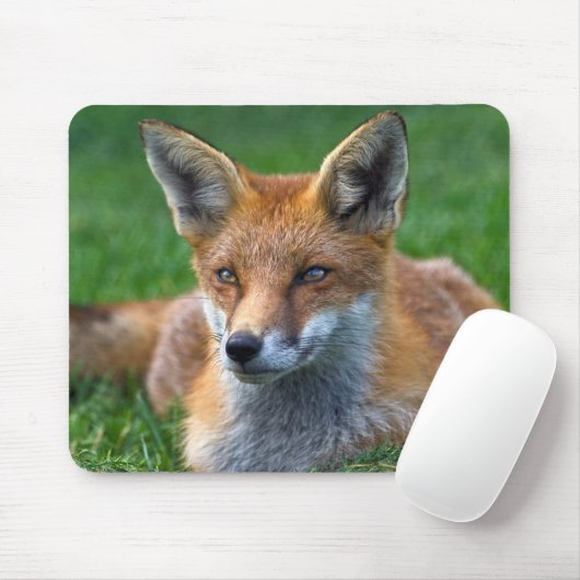 Red Fox Mousemat Mousepad (Mit Mouse)