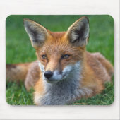 Red Fox Mousemat Mousepad (Vorne)
