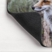 Red Fox Mousepad (Ecke)