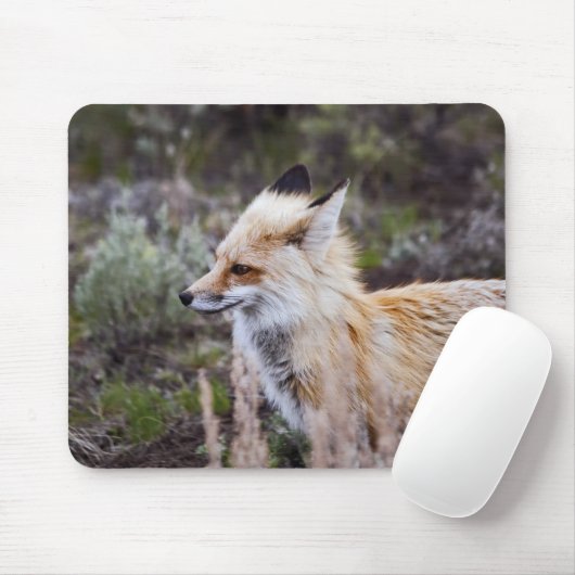 Red Fox Mousepad (Mit Mouse)