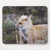 Red Fox Mousepad (Vorne)
