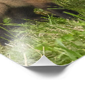 Red Fox Mutter und Youngster Fotodruck (Ecke)