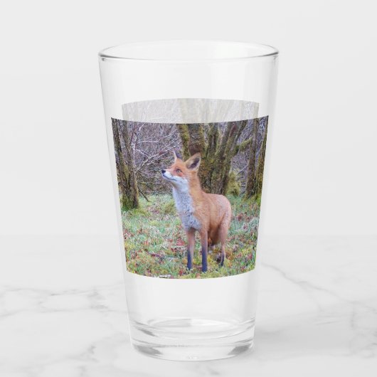 Red Fox nach oben Glas (Rückseite)
