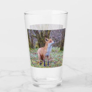 Red Fox nach oben Glas