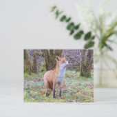 Red Fox nach oben Postkarte (Stehend Vorderseite)