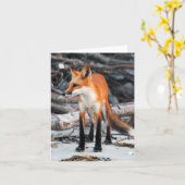 Red Fox Note/Grußkarte unserer Planet-Serie gerett Karte (Gelbe Blume)