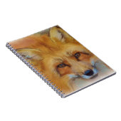 Red Fox Notizblock (Rechte Seite)