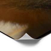Red Fox Pair Poster (Ecke)