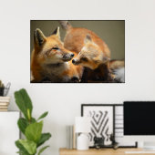 Red Fox Pair Poster (Heimbüro)