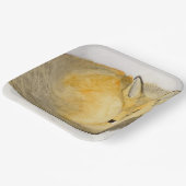 Red Fox Pappteller (Gewinkelt)