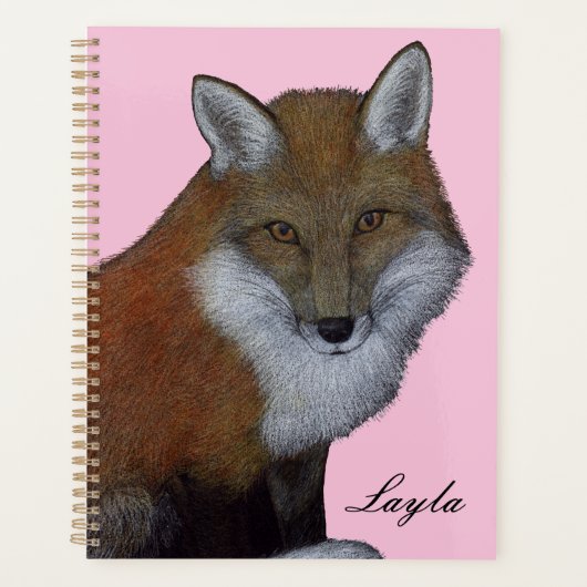 Red Fox Planer (Vorderseite)