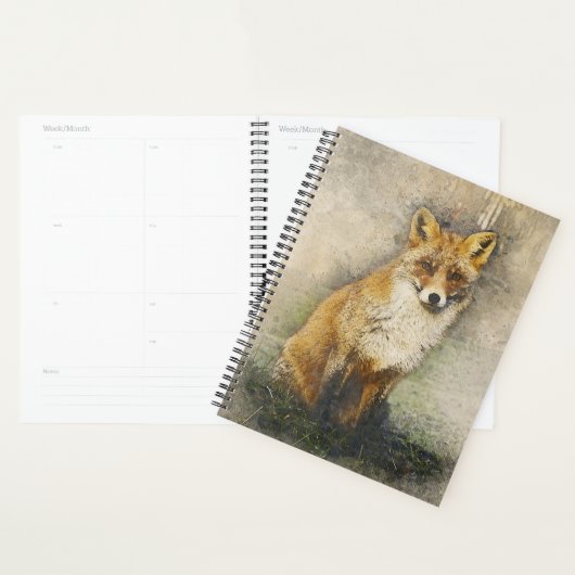 Red Fox Planer (Anzeige)