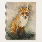 Red Fox Planer (Vorderseite)