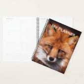 Red Fox Planer (Anzeige)