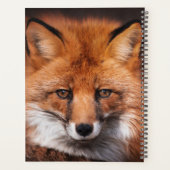 Red Fox Planer (Rückseite)