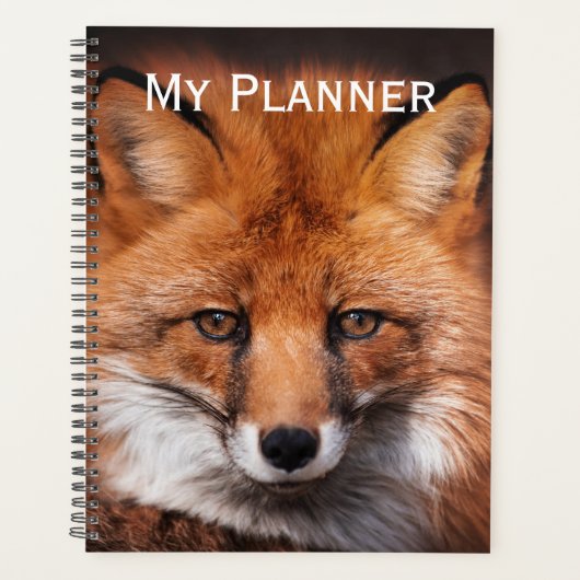 Red Fox Planer (Vorderseite)