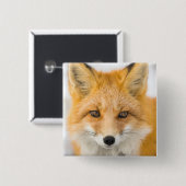 Red Fox Portrait Button (Vorne & Hinten)