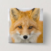 Red Fox Portrait Button (Vorderseite)