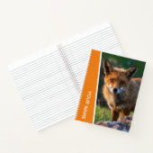 Red Fox Portrait Foto Sunset Australien, Orange Notizblock (Innenseite)