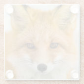 Red Fox Portrait Glasuntersetzer (Rückseite)