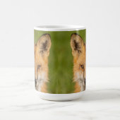 Red Fox Portrait Kaffeetasse (Mittel)