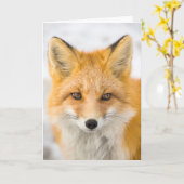 Red Fox Portrait Karte (Gelbe Blume)