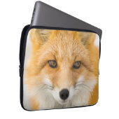 Red Fox Portrait Laptopschutzhülle (Vorne Rechts)