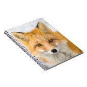 Red Fox Portrait Notizblock (Rechte Seite)