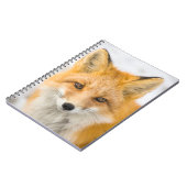 Red Fox Portrait Notizblock (Linke Seite)