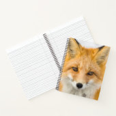 Red Fox Portrait Notizblock (Innenseite)